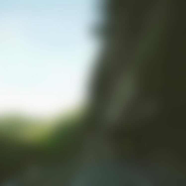 Countryside Photo Poster