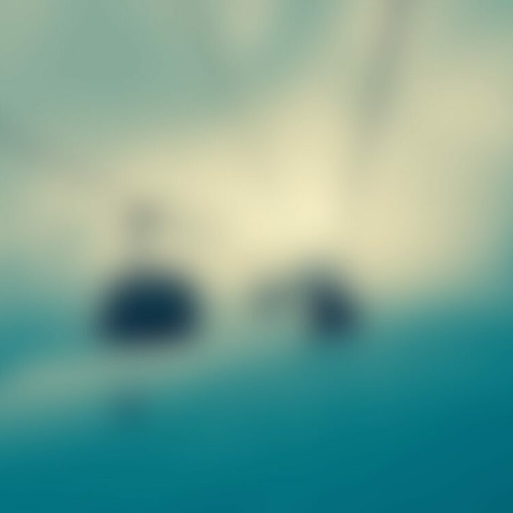 Winter Poster